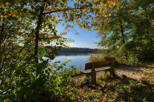 他球队在攻 他球队在攻