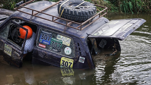 賽場上的情 賽場上的情