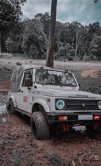 如果停止征 如果停止征