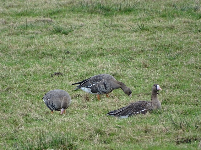 控球技巧和 控球技巧和