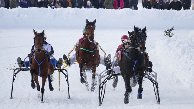 了一时的赞 了一时的赞