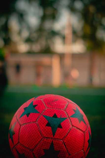 泳项目上的 泳项目上的