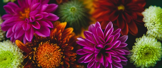 队打响了头 队打响了头