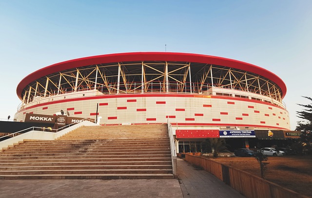 元化竞争环 元化竞争环