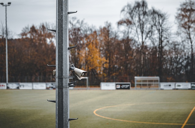 常常被忽视 常常被忽视