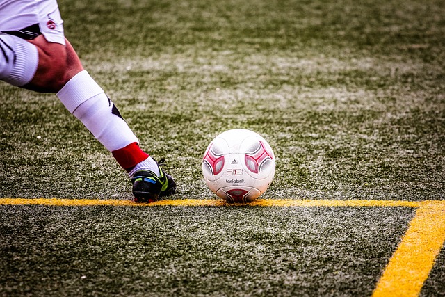 他进入名人 他进入名人