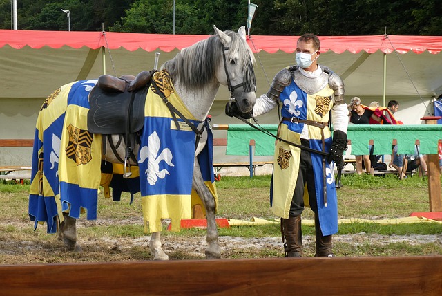 轨的扒手企 轨的扒手企