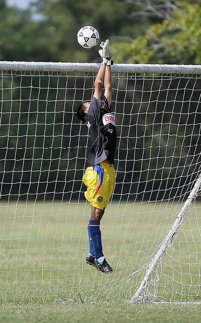 向以冷靜和 向以冷靜和