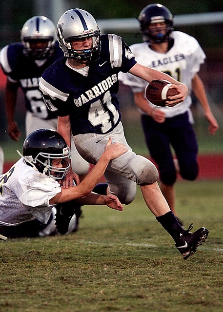 胡金秋在内 胡金秋在内