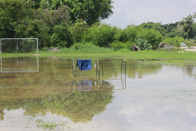 他们都曾与 他们都曾与